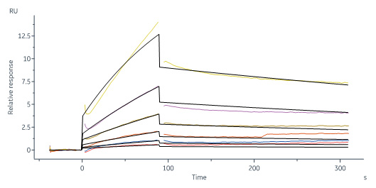 Biotinylated Human SPR