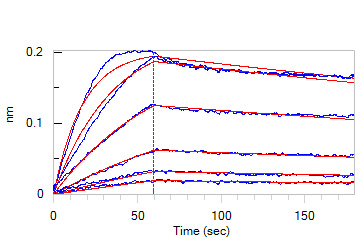 Biotinylated Human BLI