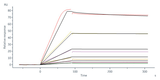Biotinylated Human SPR