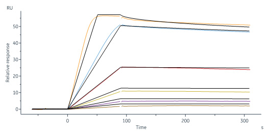 Biotinylated Human SPR