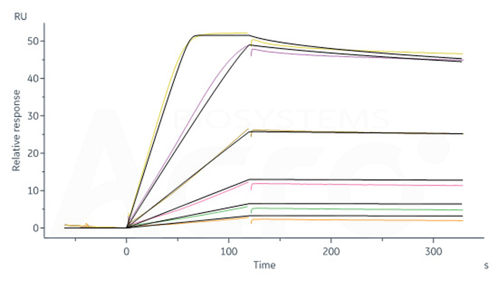 Biotinylated Human SPR