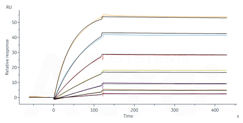 Biotinylated Human SPR