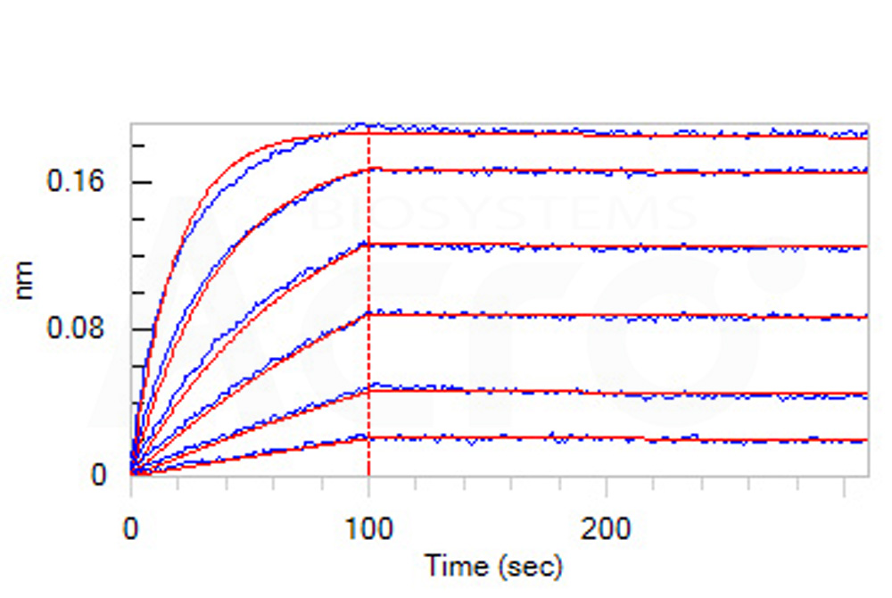 Biotinylated Human BLI