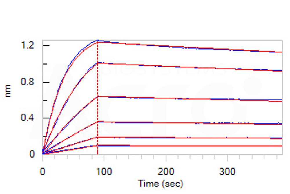 Biotinylated Human BLI