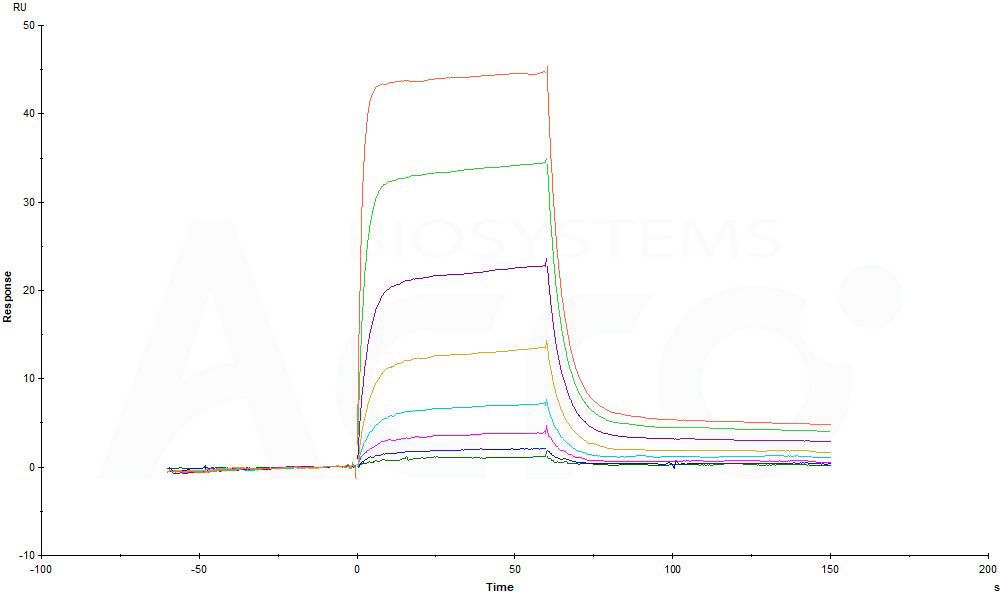 Biotinylated Human SPR