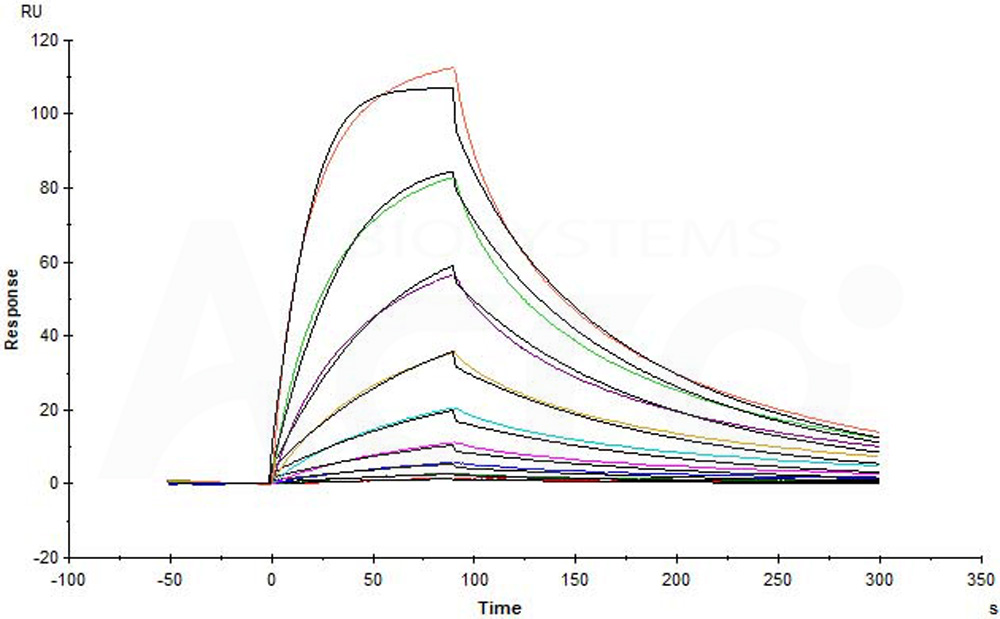 Biotinylated Human SPR