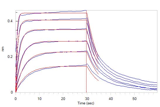 Biotinylated Human BLI