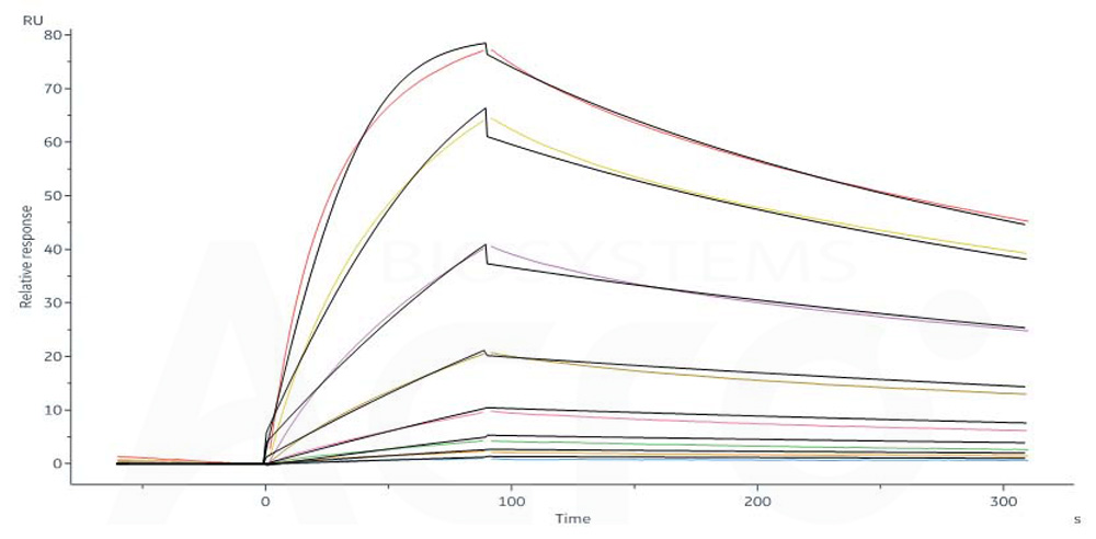 Biotinylated Human SPR