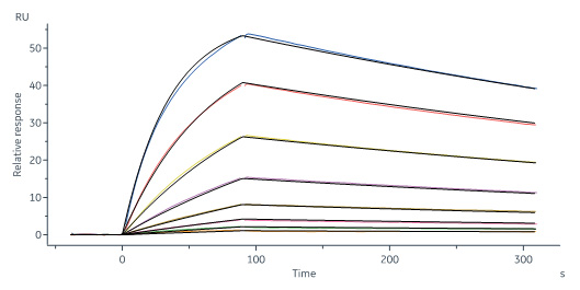 Biotinylated Human SPR