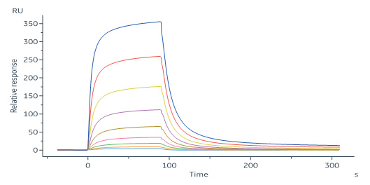 Biotinylated Human SPR