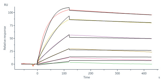 Biotinylated Human SPR