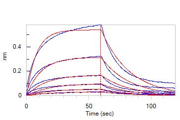 Biotinylated Human BLI