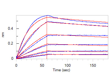 Biotinylated Human BLI