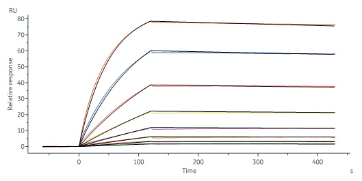 Biotinylated Human SPR