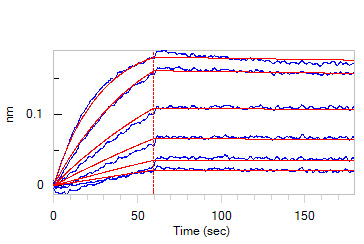 Biotinylated Human BLI