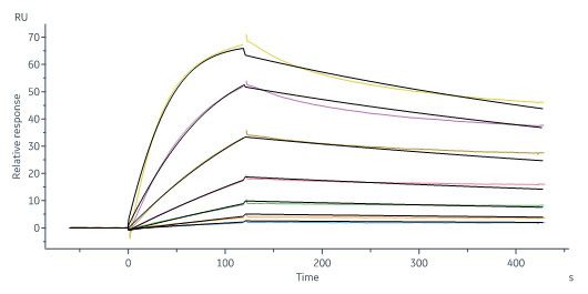 Biotinylated Human SPR