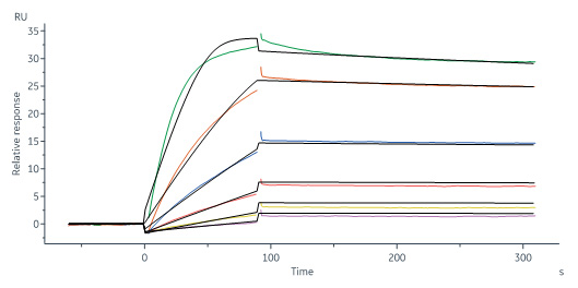 Biotinylated Human SPR