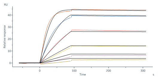 Biotinylated Human SPR
