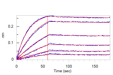 Biotinylated Human BLI