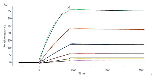 Biotinylated Human SPR