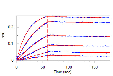 Biotinylated Human BLI